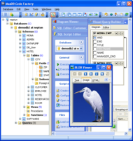 MaxDB Code Factory screenshot